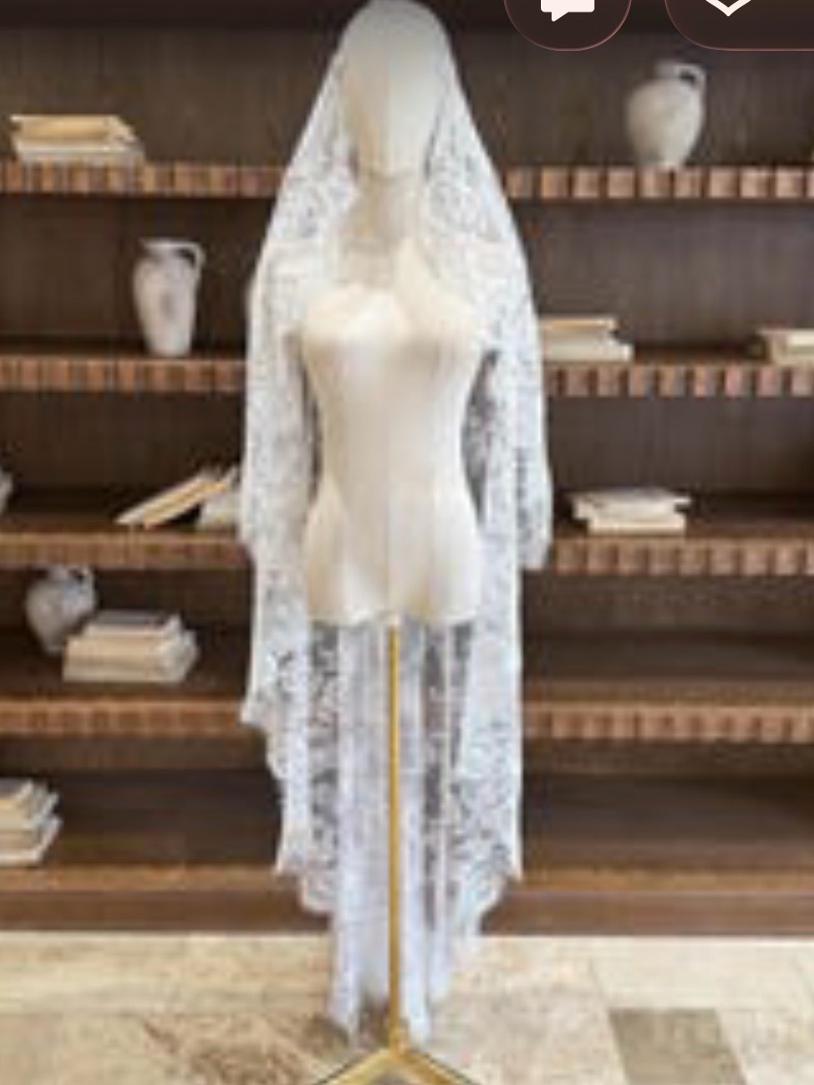 Lace Bridal Veil In White